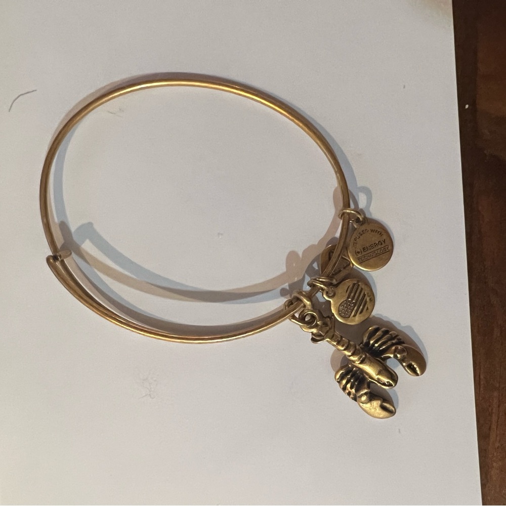 Alex & Ani Lobster bracelet